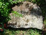 image of grave number 205856